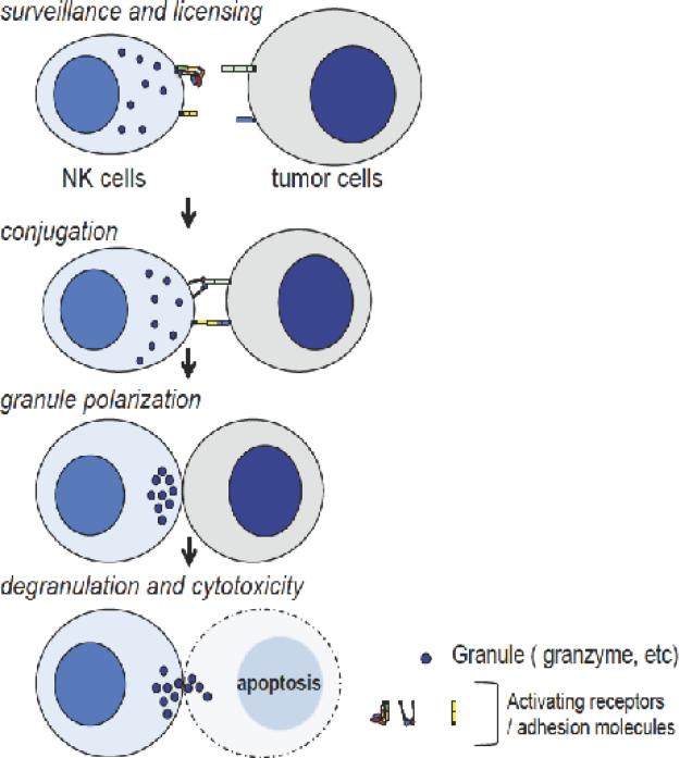 Figure1