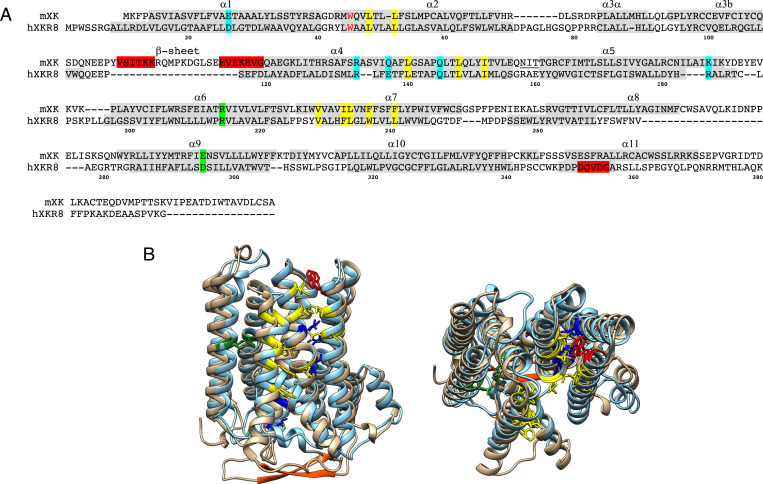 Fig. 7.