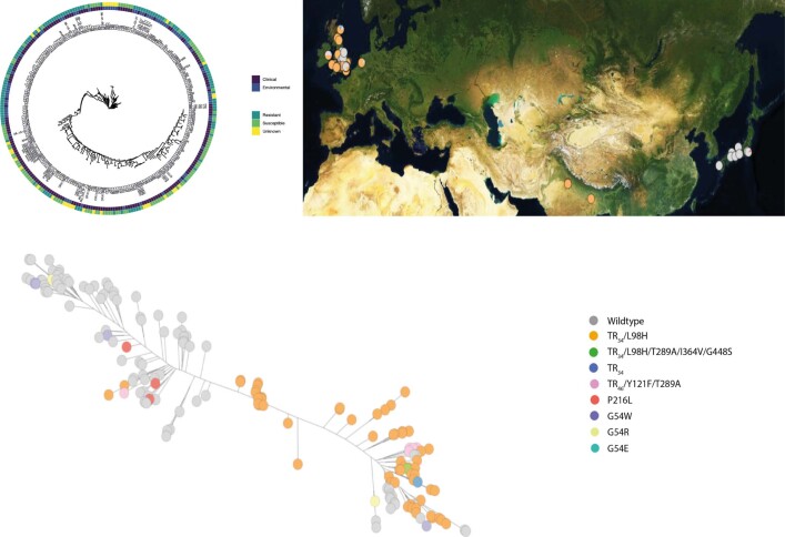 Extended Data Fig. 4