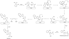 Figure 5
