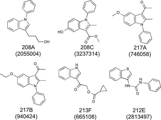 FIG 1