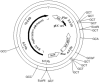 <b>Figure 3</b>