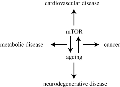 Figure 2.