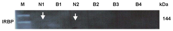 FIGURE 25