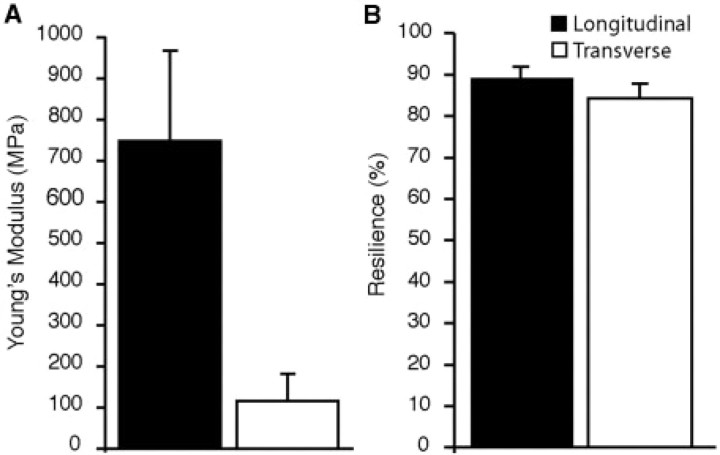 Fig. 4