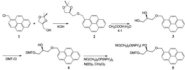 graphic file with name gkf624s1.jpg