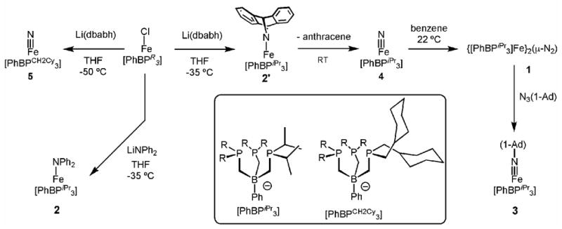 Scheme 1