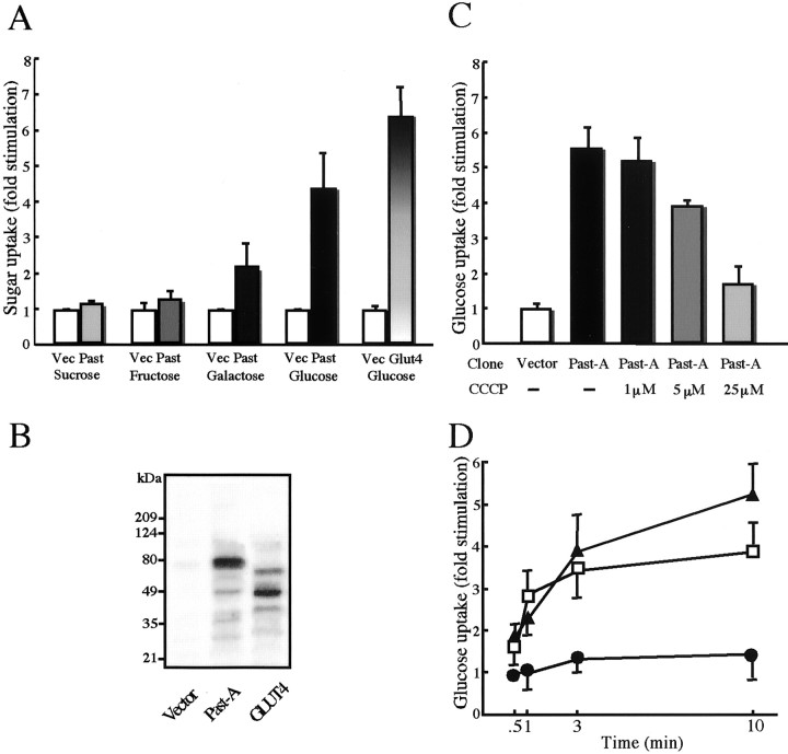 Fig. 4.