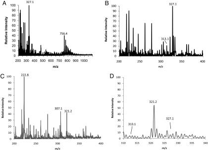 Fig. 3.