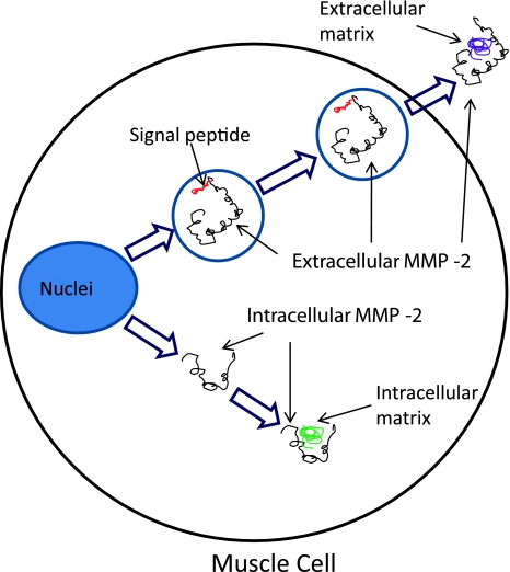 Fig. 1