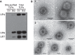 FIG 8