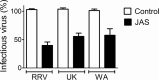 FIG 10