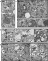 FIG 9