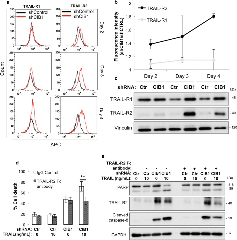 Fig. 4