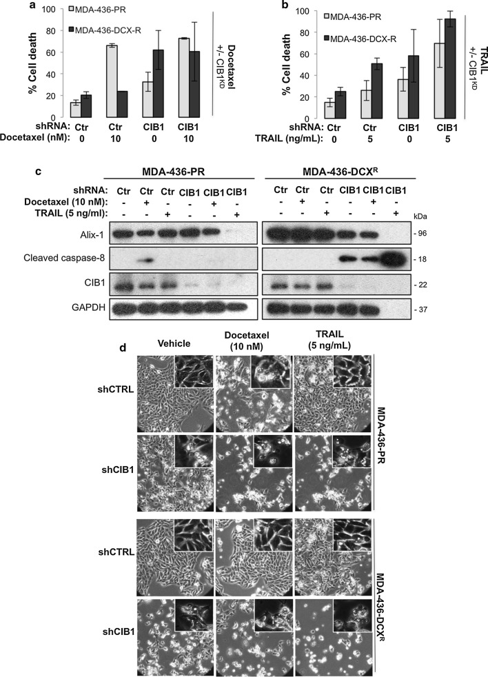 Fig. 6