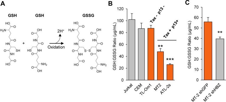 Fig 8