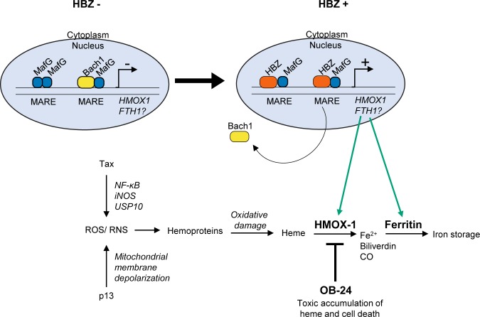 Fig 10