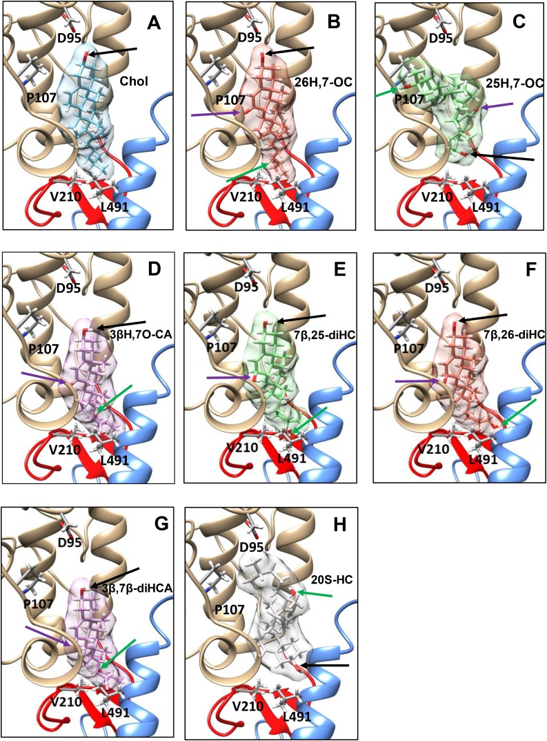 Fig. 7