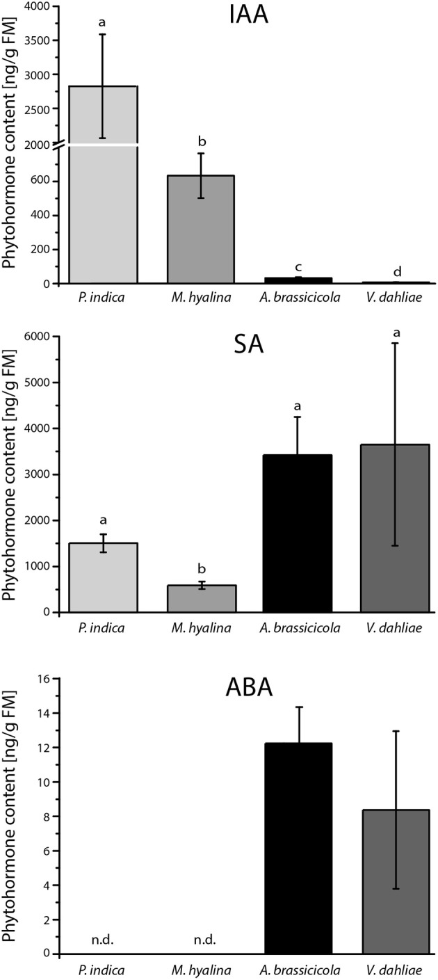 Figure 5