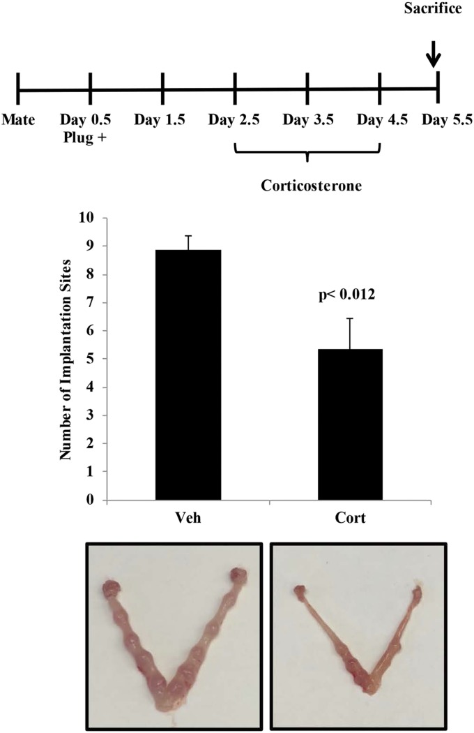 Fig. S5.