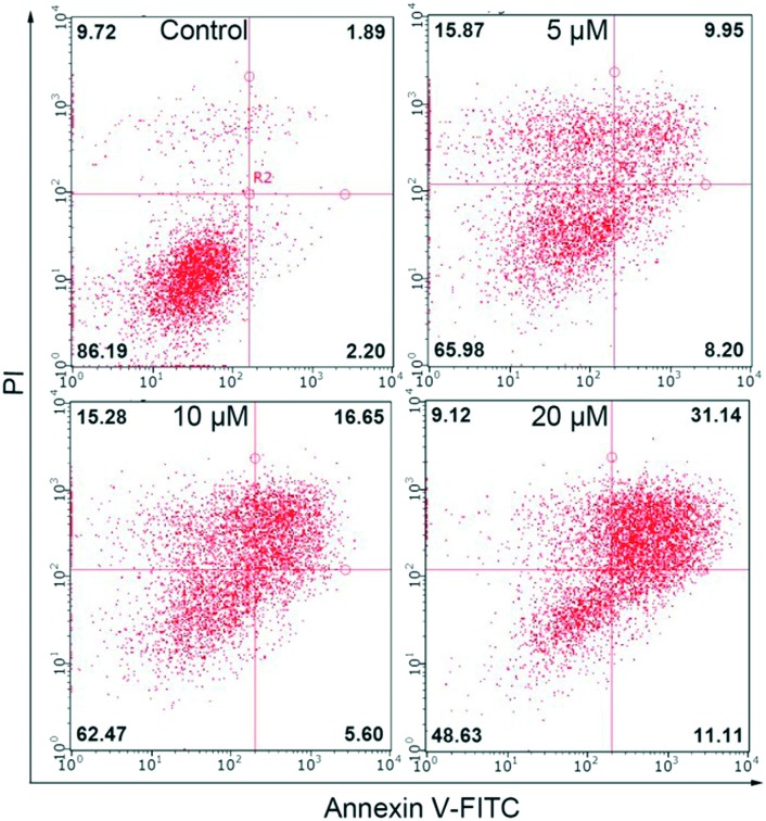 Fig. 10