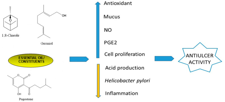 Figure 13