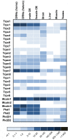 Figure 13