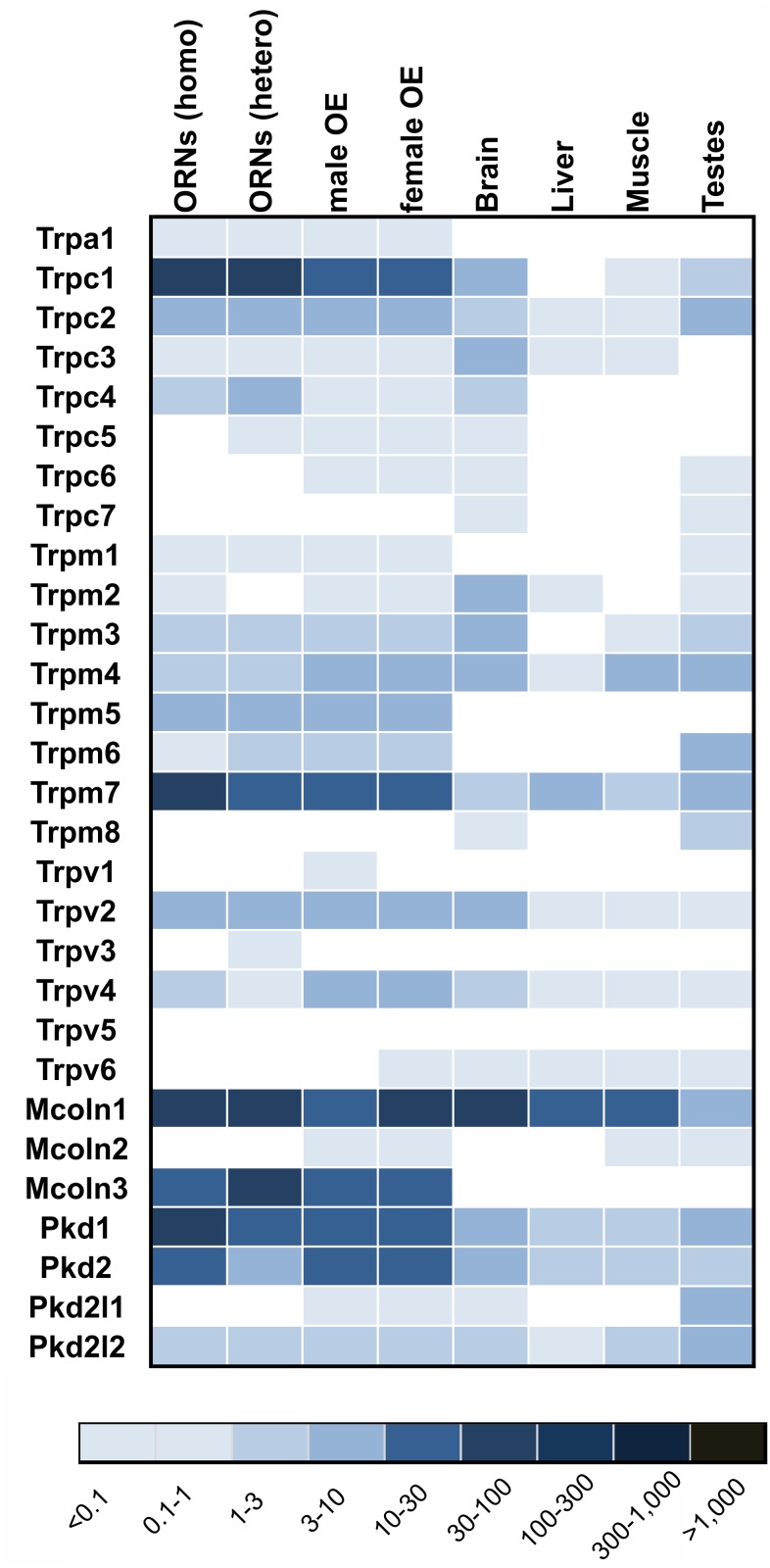 Figure 13