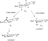 Scheme 3