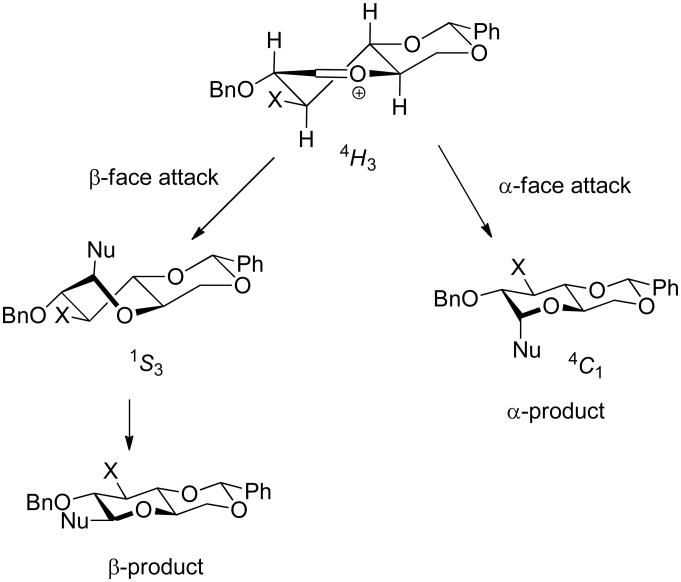 Scheme 3