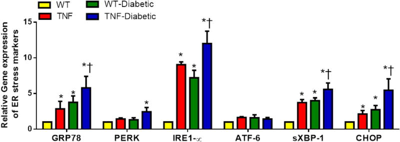 Fig 5