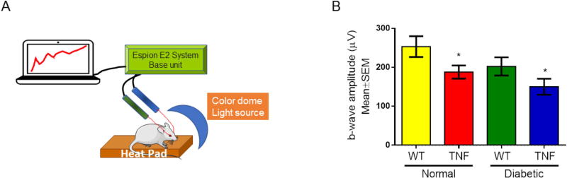 Fig 4