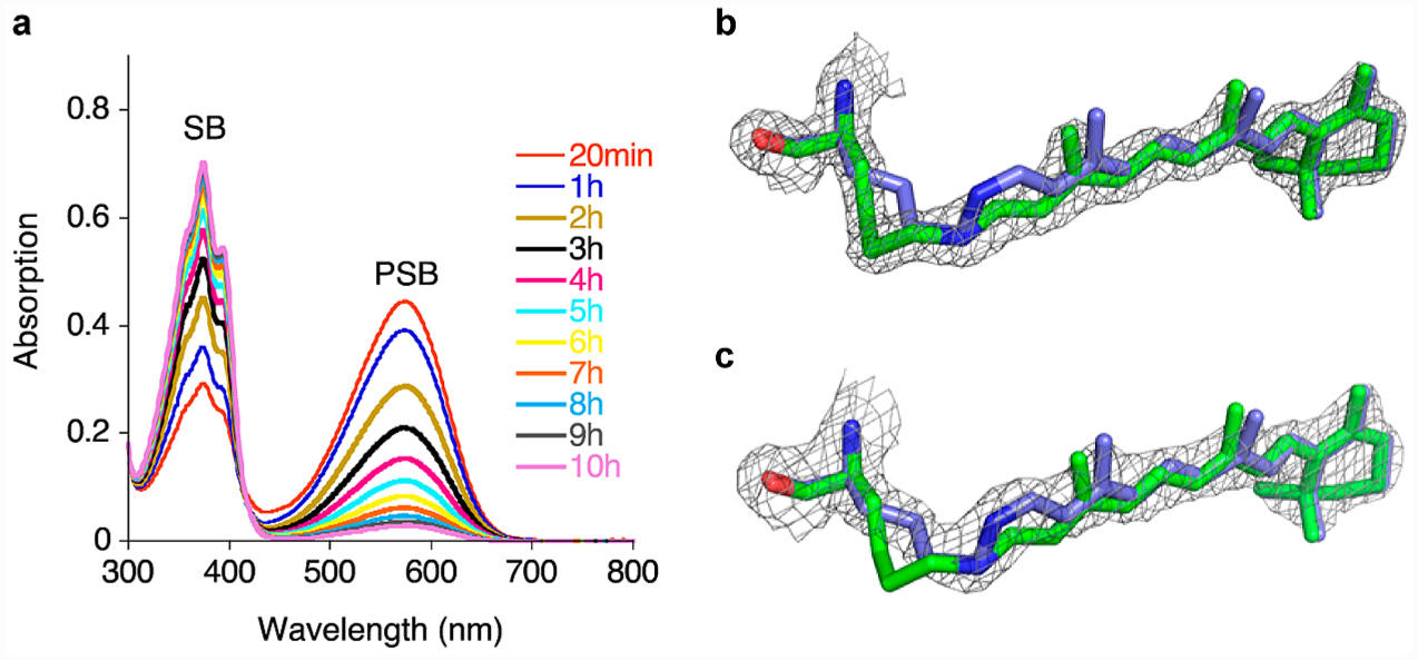 Figure 3.