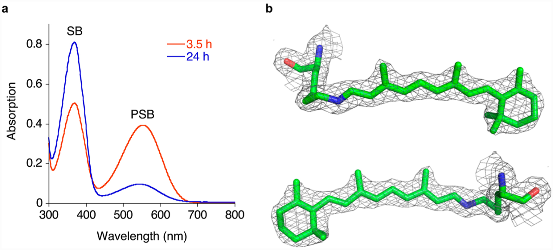 Figure 2.