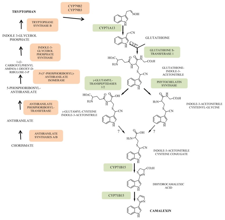 Figure 5