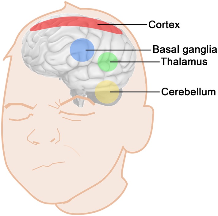 Fig 1