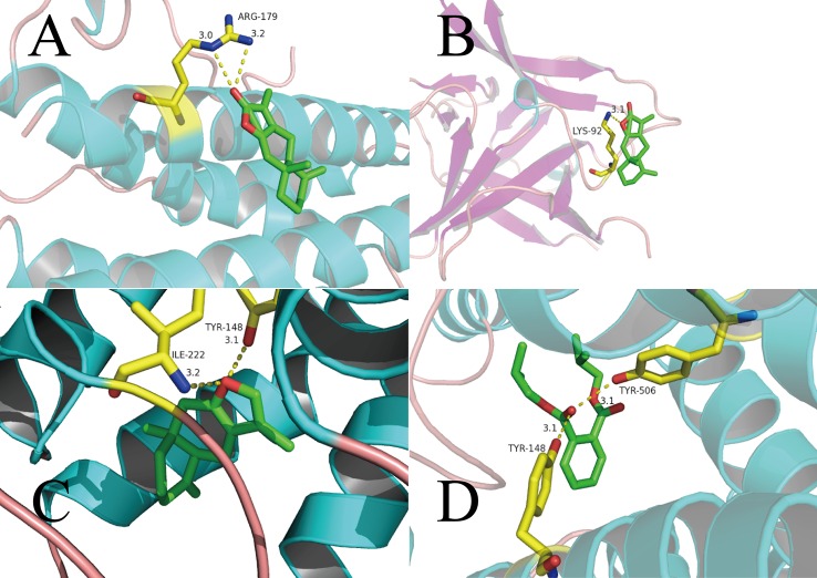 Figure 5