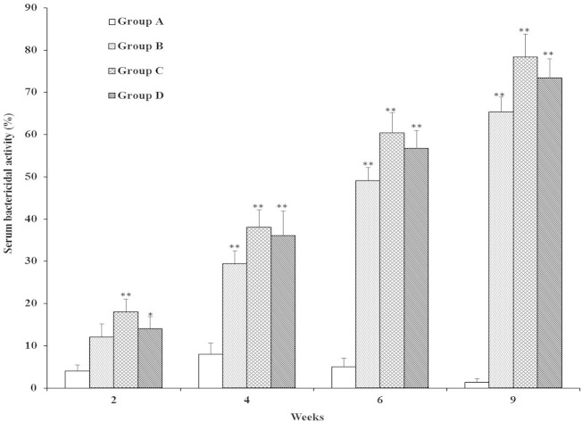 FIG 6