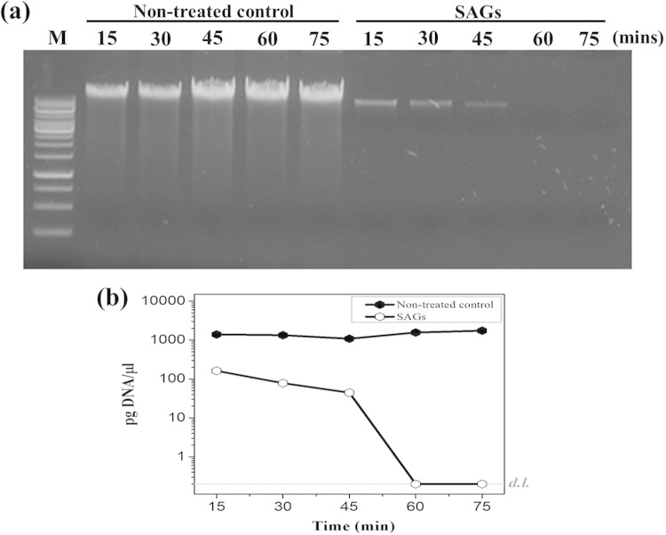 FIG 2