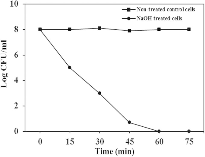 FIG 1