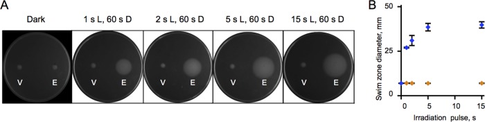 FIG 4