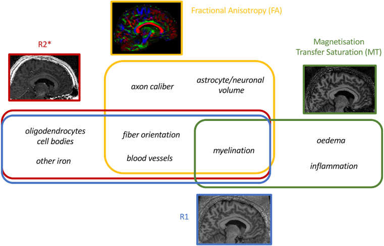 Fig. 1