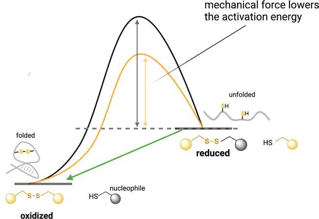 FIG 1