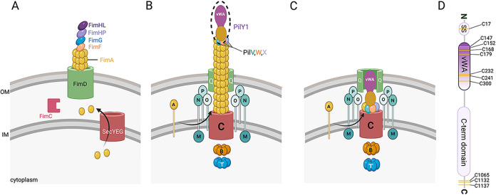 FIG 5