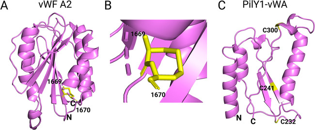 FIG 3