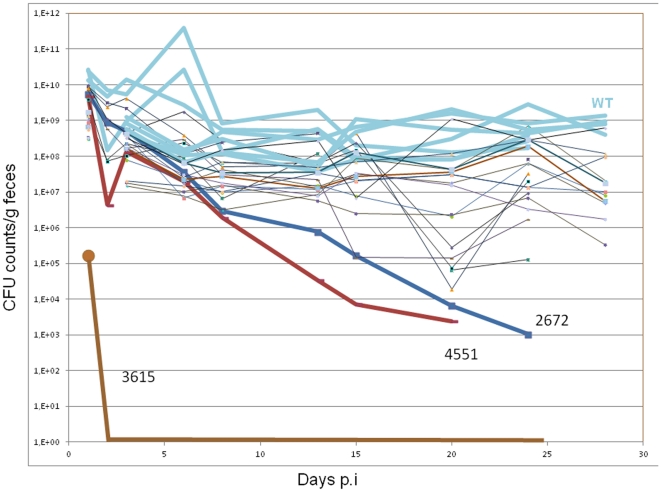 Figure 10