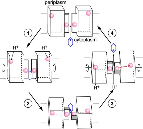 Fig. 4.