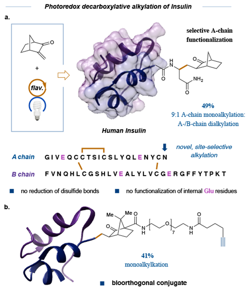 Figure 5: