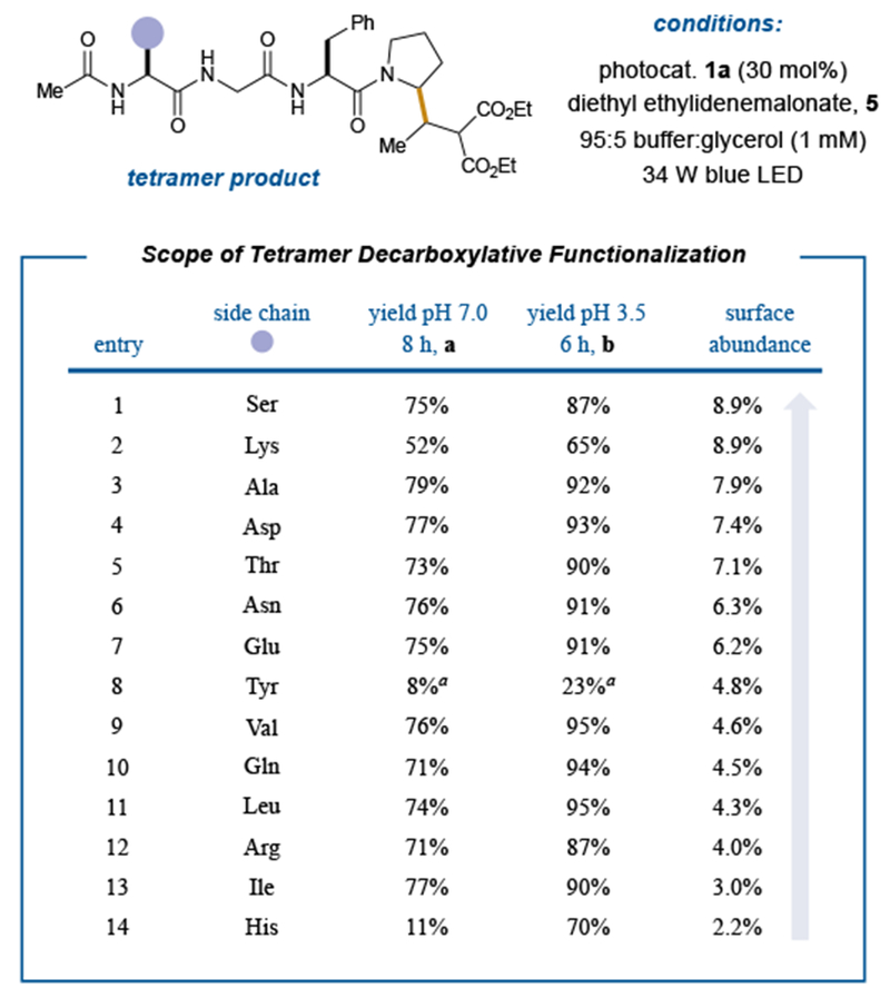 Figure 3: