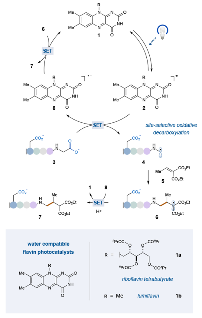 Figure 2: